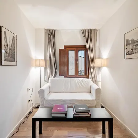 Apartment Palazzo Pitti & Boboli Comfortable Florence